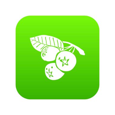 Blueberry yeşil simge vektör