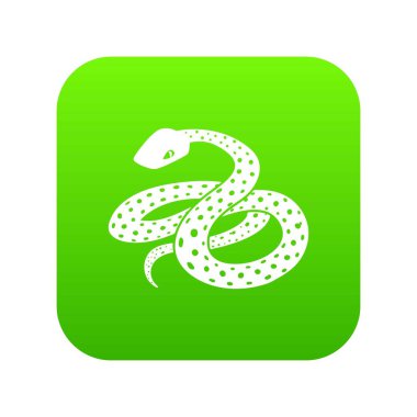 Meksika kingsnake yeşil simge vektör