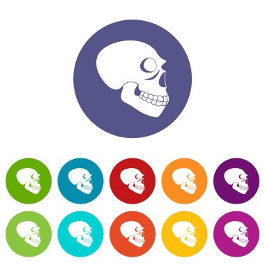 Kafatası simgeler vektör renk ayarla