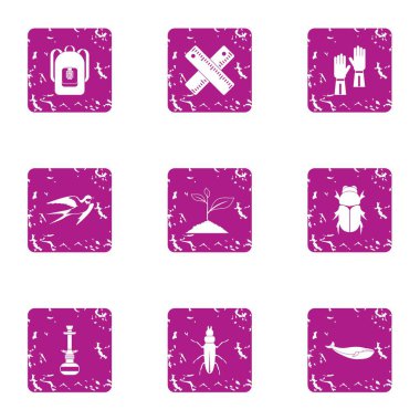 Botanikçi simgeler kümesi, grunge tarzı