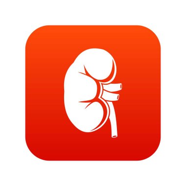 Böbrek simgesi dijital kırmızı