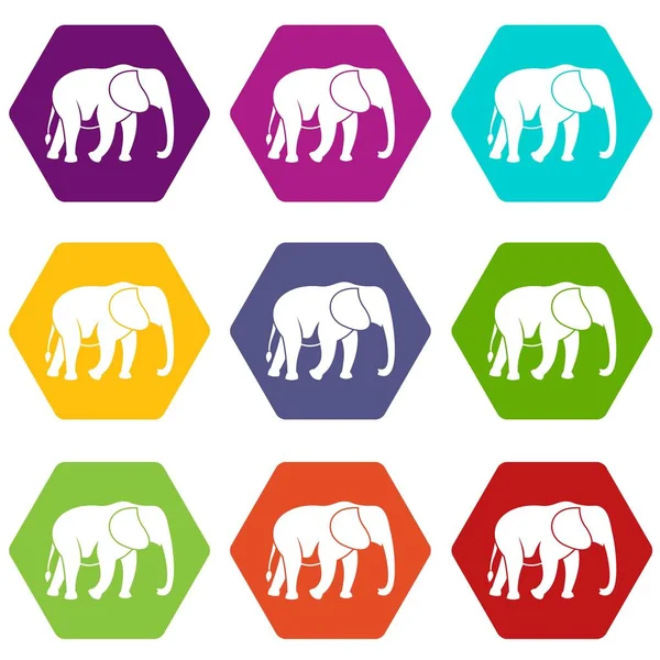 Wild elephant icon set color hexahedron — Stock Vector