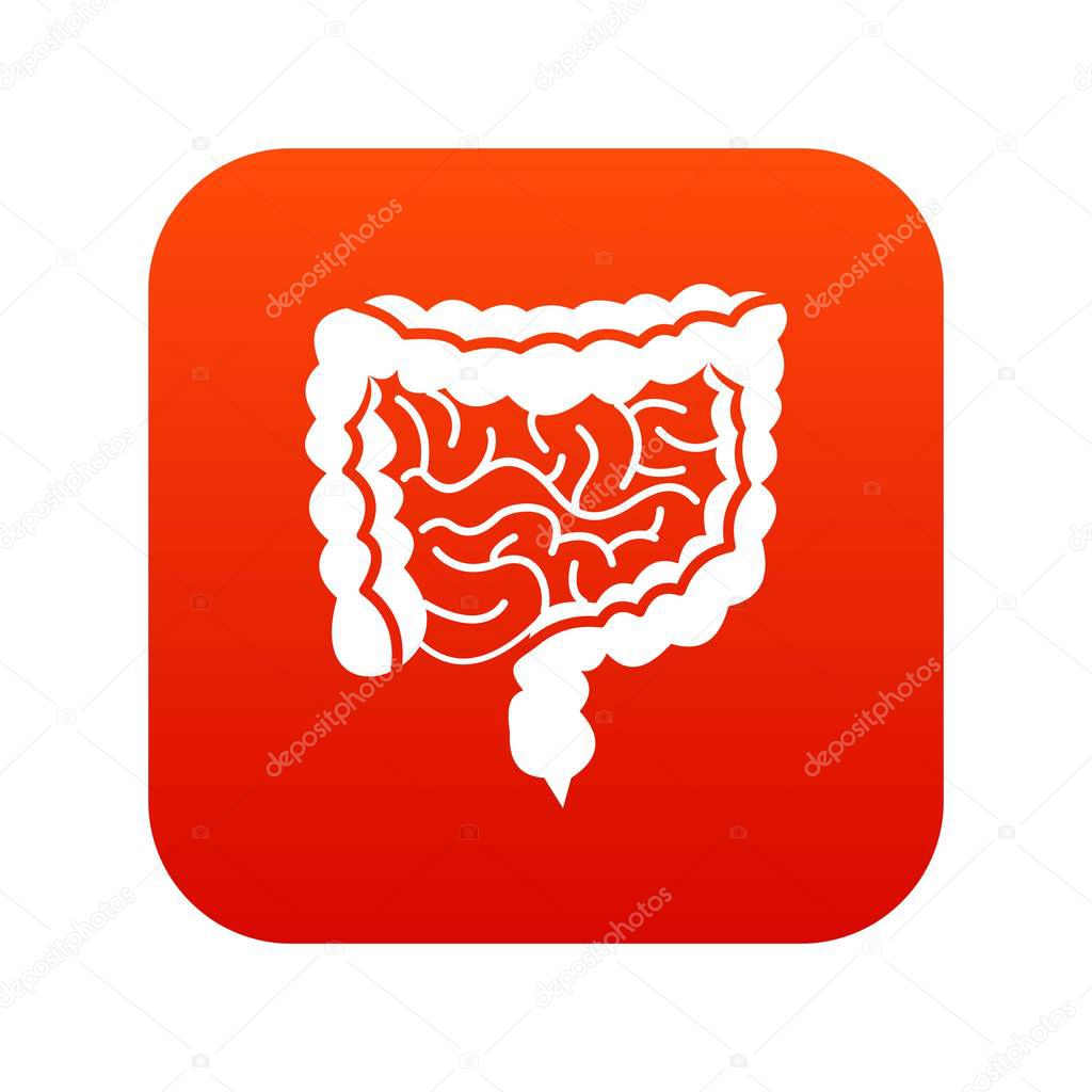 Intestines icon digital red
