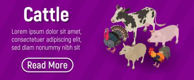 Cattle concept banner. Isometric banner of cattle vector concept for web, giftcard and postcard clipart svg vector 