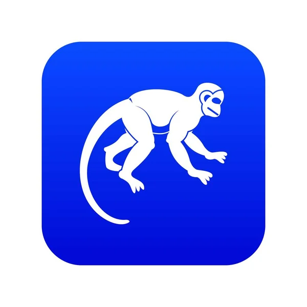 Kapucijnen aap pictogram digitale blauw — Stockvector