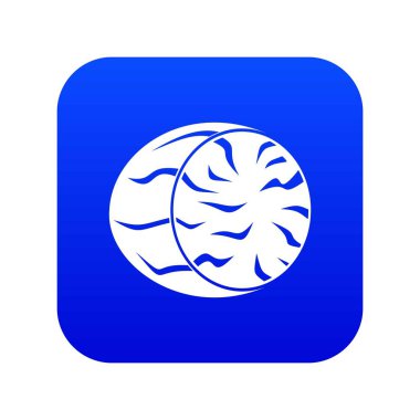 Küçük Hindistan cevizi simgesi dijital mavi yarısı