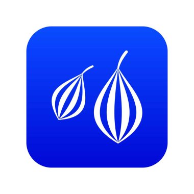 Trachyspermum annem simgesi dijital mavi