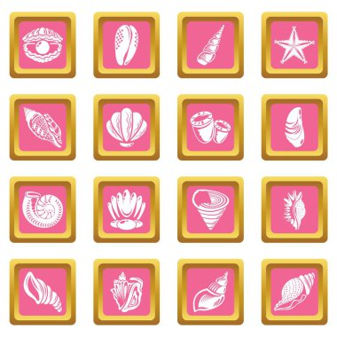 Pembe kare vektör tropikal deniz kabuğu Icons set
