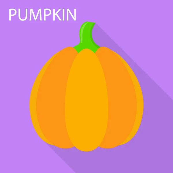 Icono de calabaza, estilo plano — Vector de stock