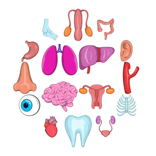 Set di icone degli organi interni — Vettoriale Stock