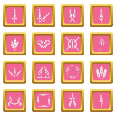 Pembe kare vektör kulak Mısır Icons set