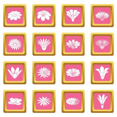 Pembe kare vektör detaylı çiçek Icons set