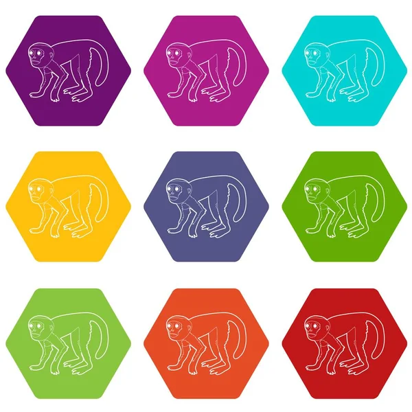 Capuchin icons set 9 vector — Stock Vector