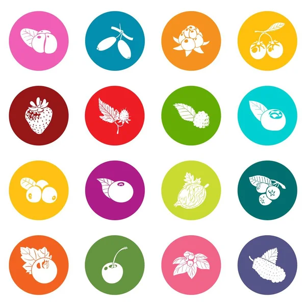 Berries icons set colorful circles vector — Stock Vector