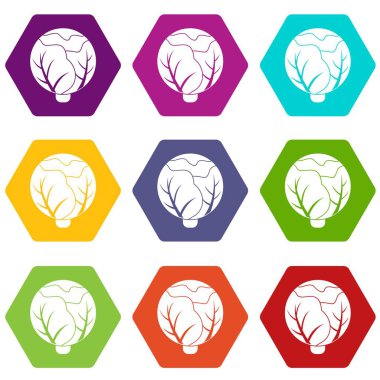 9 vektör lahana Icons set
