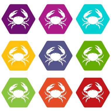 9 vektör yengeç Icons set