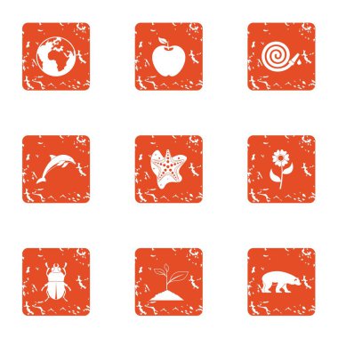 Uzun yaşam simgeler kümesi, grunge tarzı