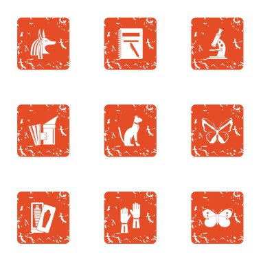 Kayıt tarihi simgeler kümesi, grunge tarzı