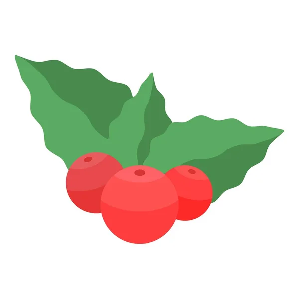 Boże Narodzenie ikona jagody, izometryczny styl — Wektor stockowy