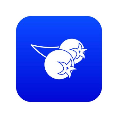 Chokeberry veya aronia berry simgesini dijital mavi