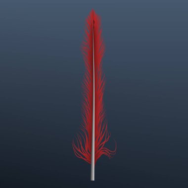 Kırmızı tüy simgesi, gerçekçi