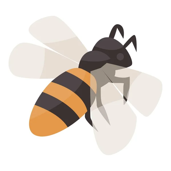 Bee icon, isometric style — Stock Vector