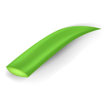 Yaprak aloe vera simgesi, gerçekçi