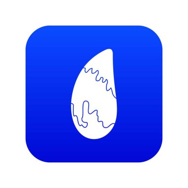 Brezilya Cevizi simgesi dijital mavi