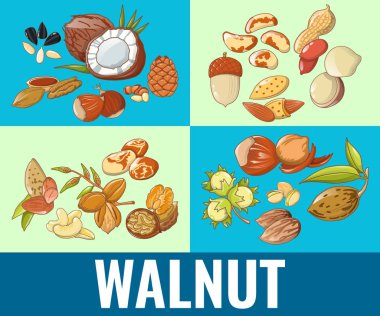 Walnut concept banner, cartoon style