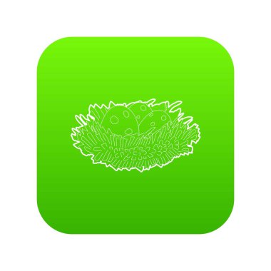 Kuş yuva yumurta yeşil simge vektör ile