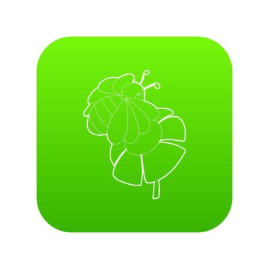 Yeşil simge vektör çiçek arıya