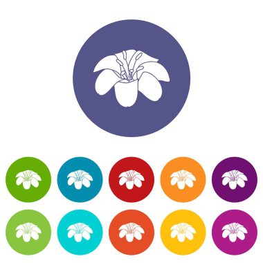 Lily çiçek simgeler vektör renk ayarla