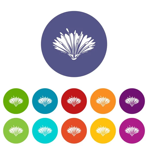Lindo flor iconos conjunto vector de color — Vector de stock