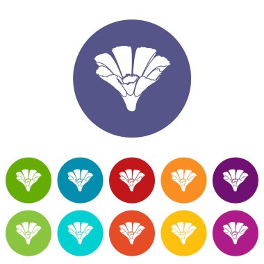 Güzellik çiçek simgeler vektör renk ayarla