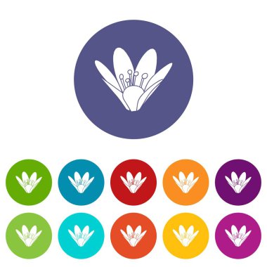 Çevre çiçek simgeler vektör renk ayarla