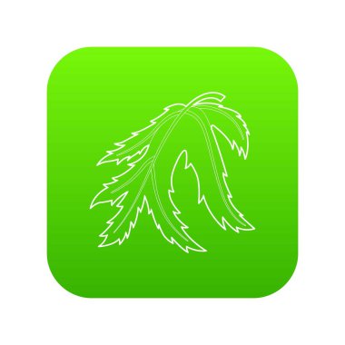 Yeşil simge vektör yaprak