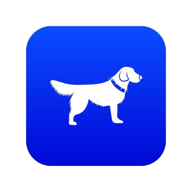 Köpek simgesi dijital mavi