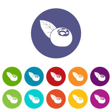 Kızılcık simgeler vektör renk ayarla