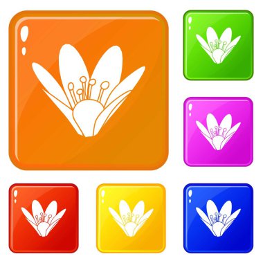 Çevre çiçek simgeler vektör renk ayarla