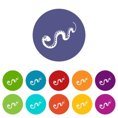 Çöl yılanı simgeler vektör renk ayarla