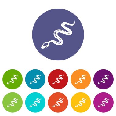 Tropikal yılan simgeler vektör renk ayarla