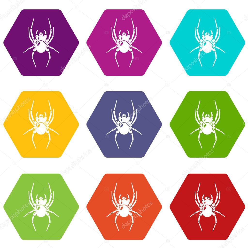 Spider icons 9 set coloful isolated on white for web