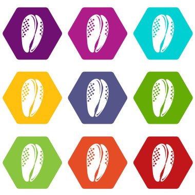 9 vektör su kabuk Icons set