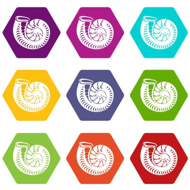 9 vektör yuvarlak kabuk Icons set
