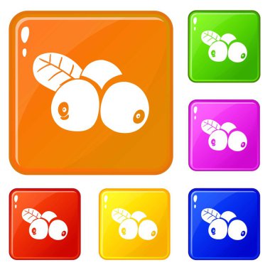 İsveç kirazı simgeler vektör renk ayarla