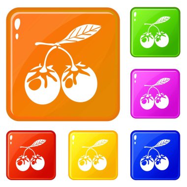 Eko berry simgeler vektör renk ayarla