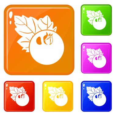 Frenk üzümü simgeler vektör renk ayarla