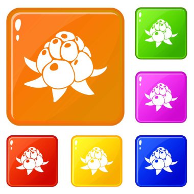 Yabani ahududu simgeler vektör renk ayarla