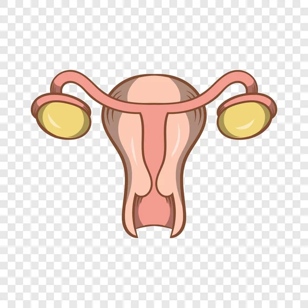 Icône utérus et ovaires, style dessin animé — Image vectorielle