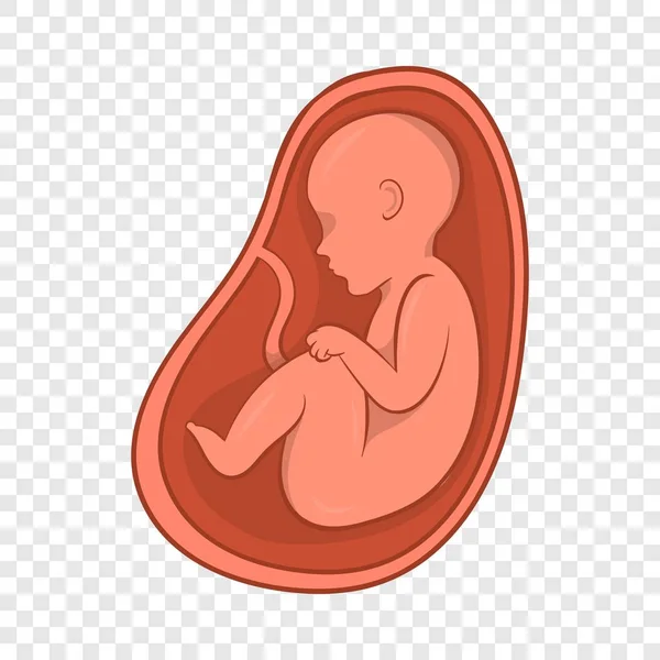 Embrión en el icono del estómago, estilo de dibujos animados — Vector de stock